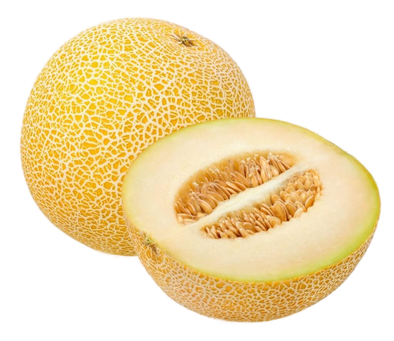 Melon galia