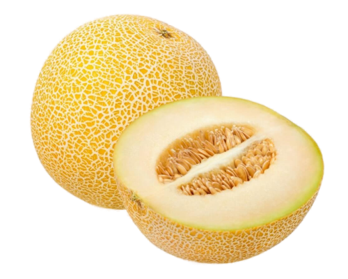 Melon galia